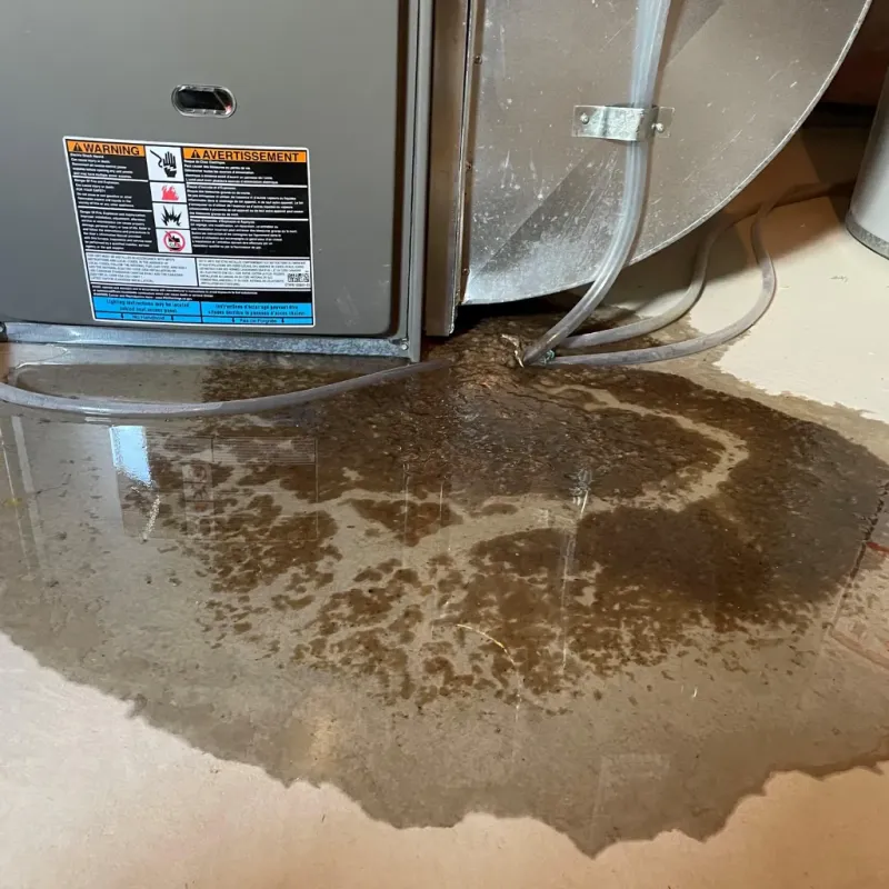 Appliance Leak Cleanup in Sumiton, AL